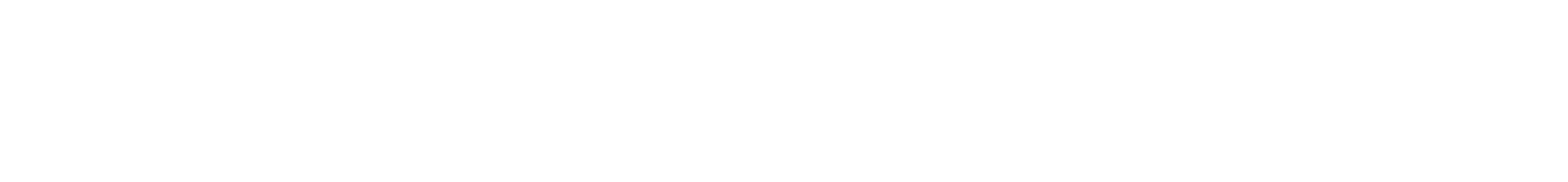Renaissance Mind